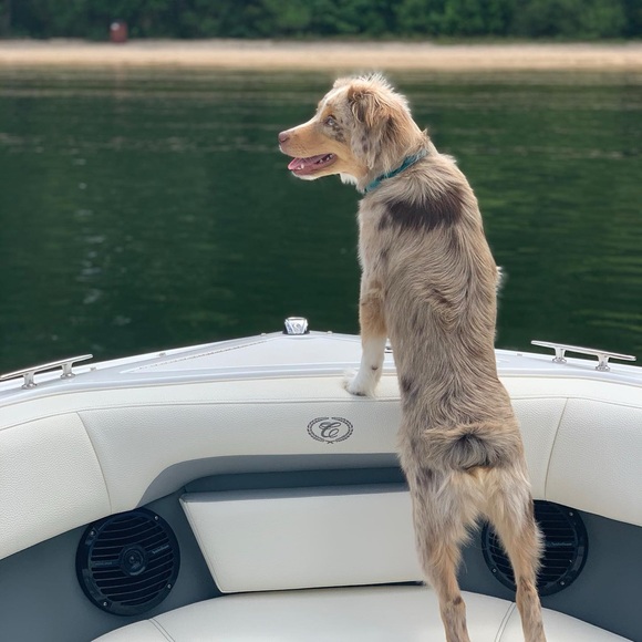 I’m Corinne! Thanks for stopping by to get to know me 😁 - Picture 11 of 14